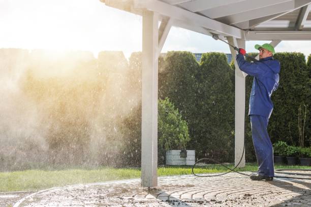 Best Animal Enclosure Cleaning  in Alma, NE